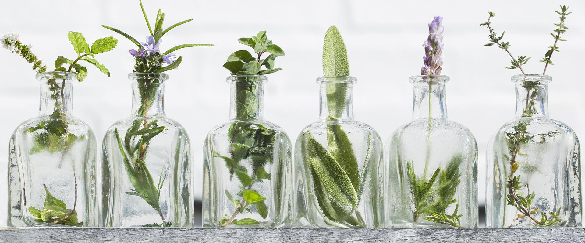 Essential Oils & Diffusers