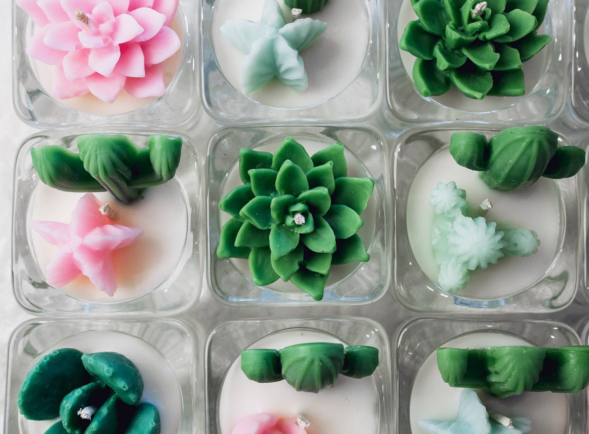 Succulent Tealight Candles | Soy Blend: Hens and Chick Succulent / Pink