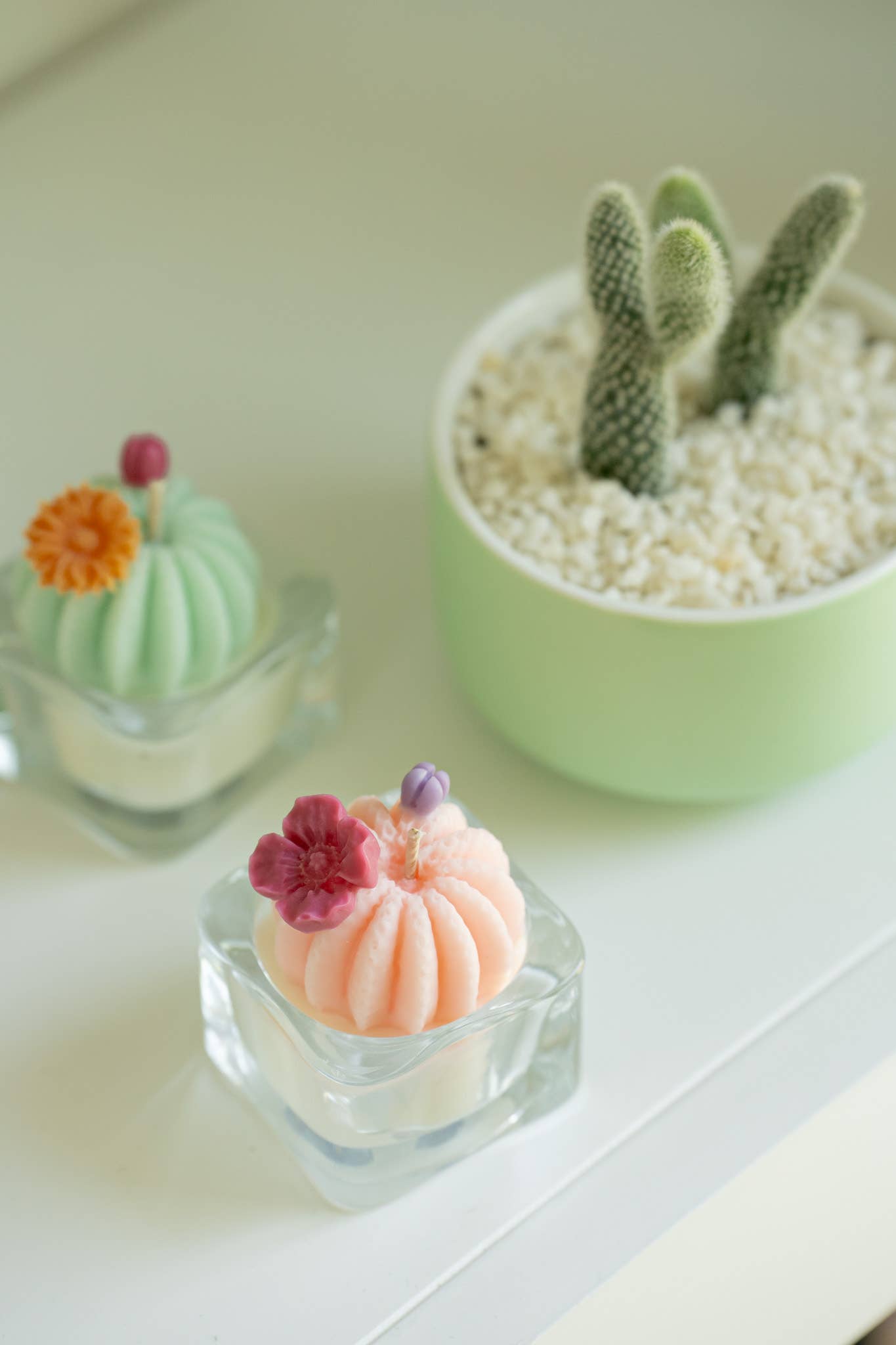 Barrel Cactus Tealight Candles: Mint w/ orange