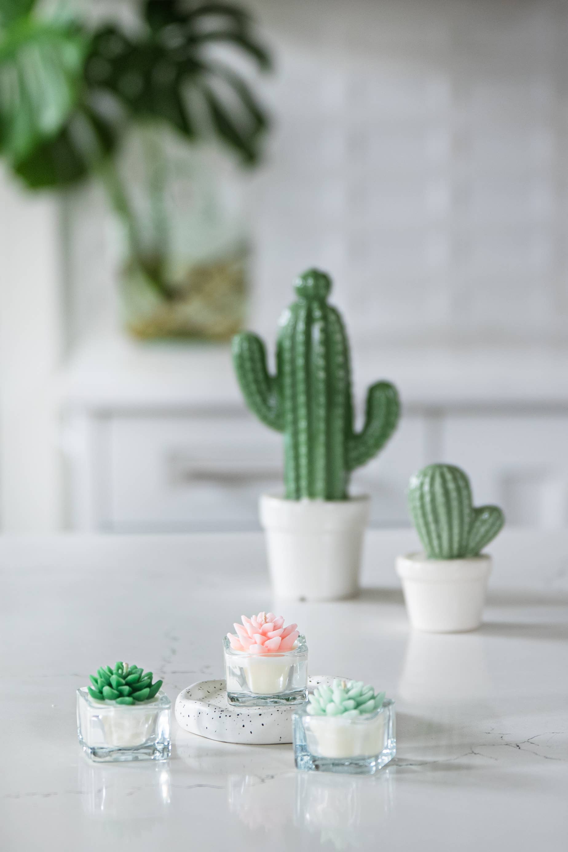 Succulent Tealight Candles | Soy Blend: Hens and Chick Succulent / Pink