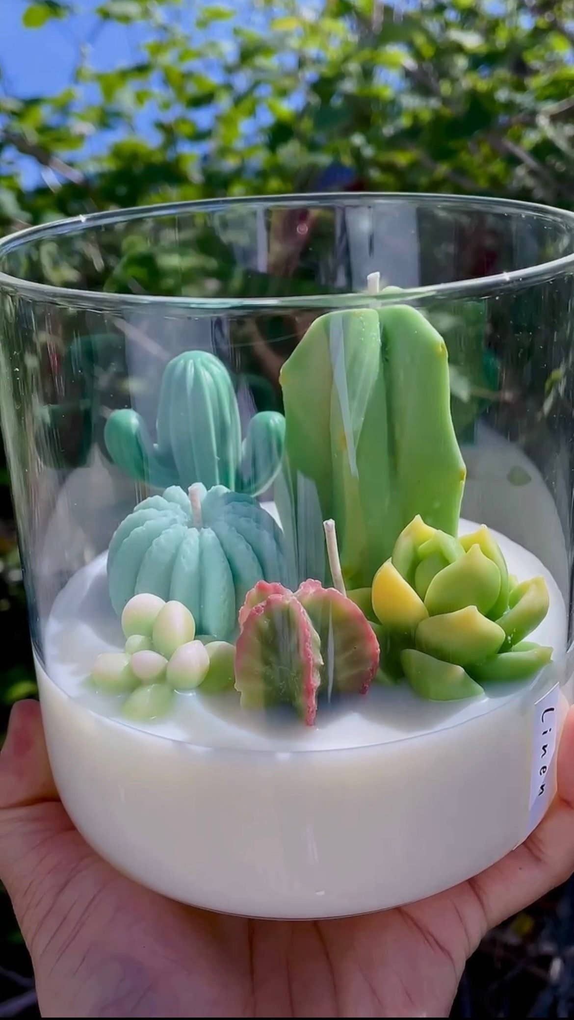 Large 3-wick Terrarium Candle | Soy blend: Mountain Walk