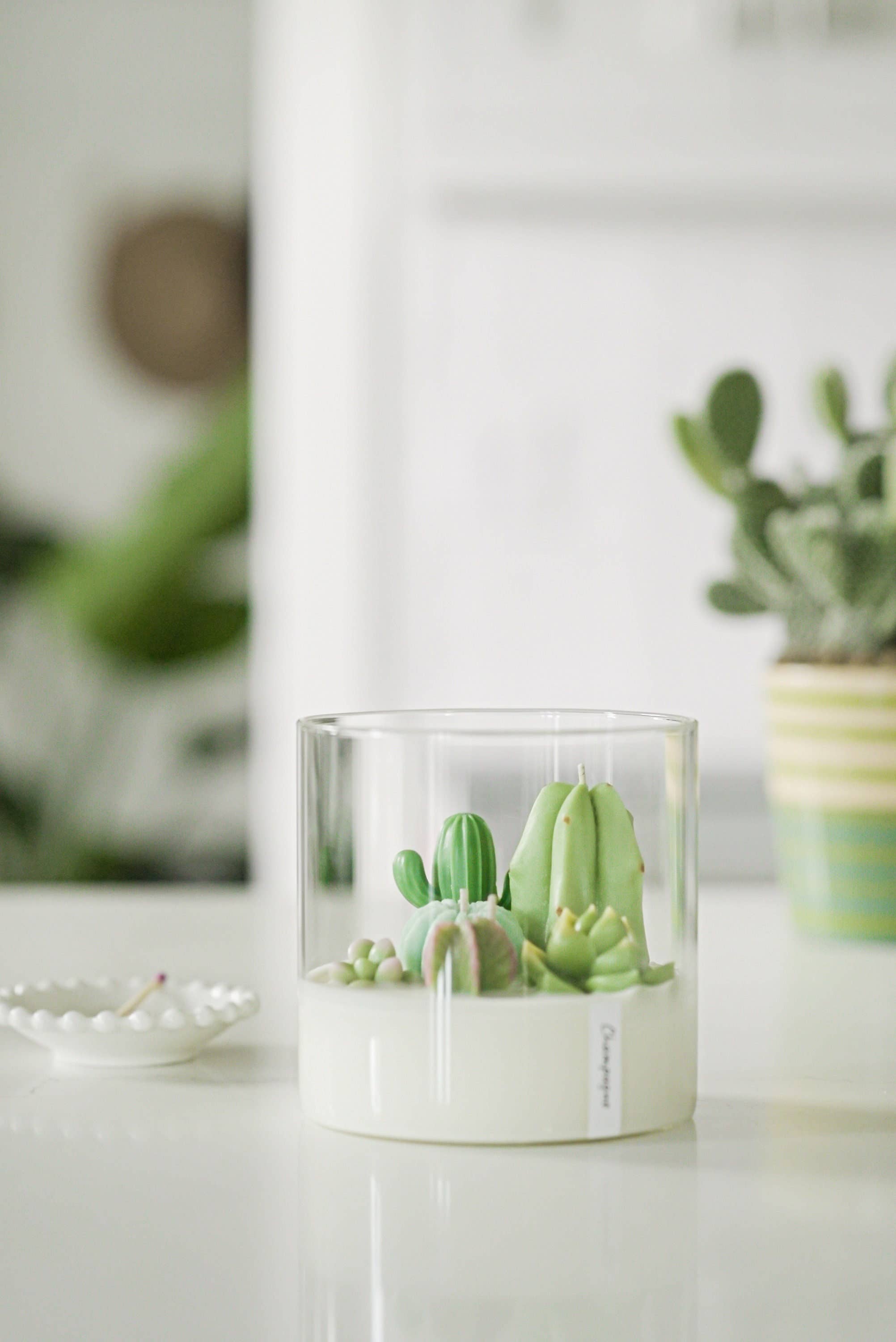 Large 3-wick Terrarium Candle | Soy blend: Mountain Walk