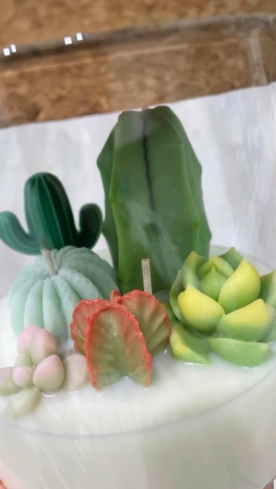 Large 3-wick Terrarium Candle | Soy blend: Mountain Walk