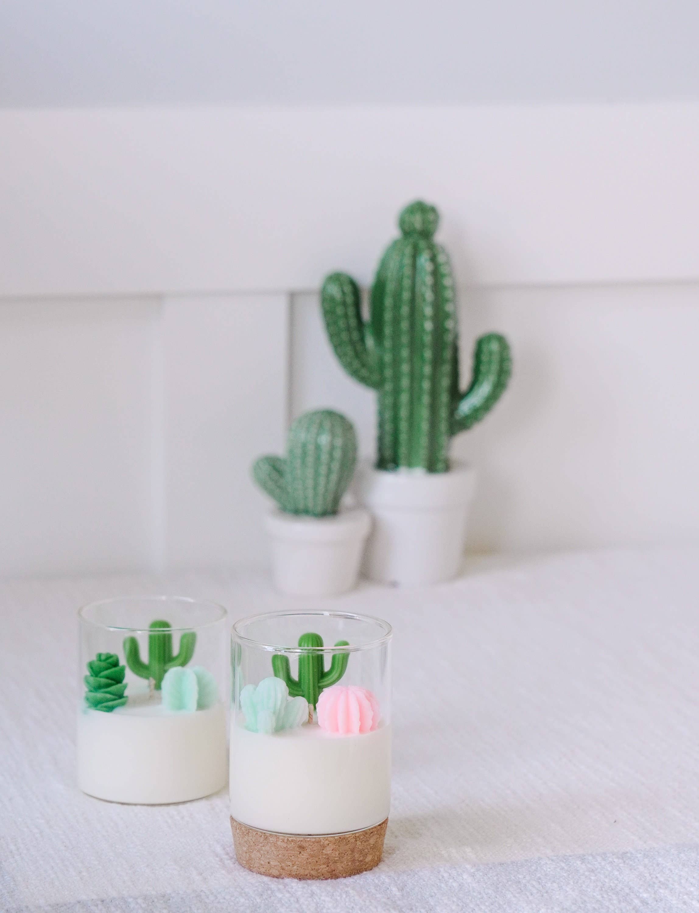 Cactus and Succulent Candle | Soy Blend: Beach Vibe / Pink mint & green