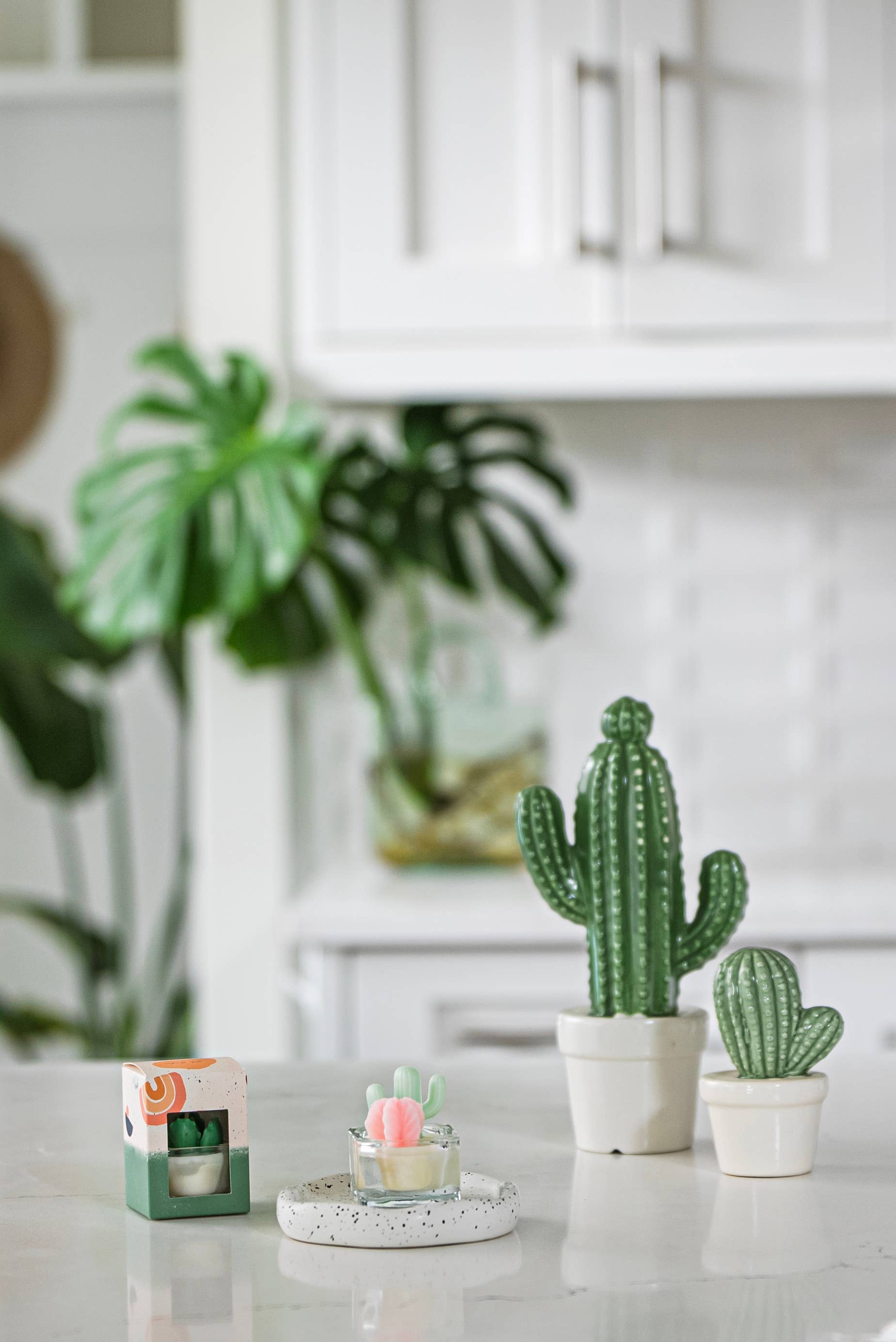 Cactus & Succulent Tealight Candles | Soy Wax Blend: Style D