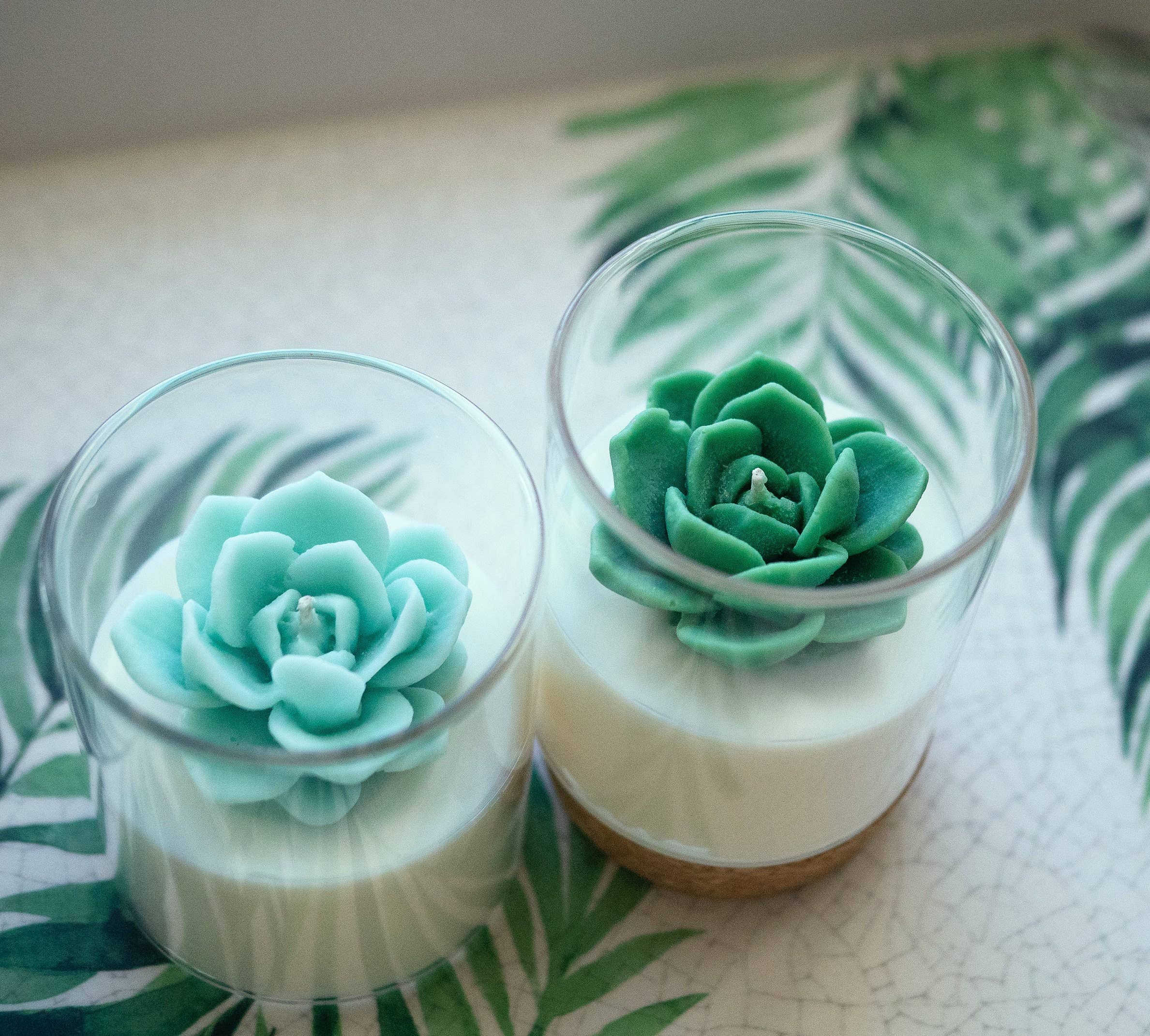 Succulent Soy Candle | Soy Blend: Green / Sunday