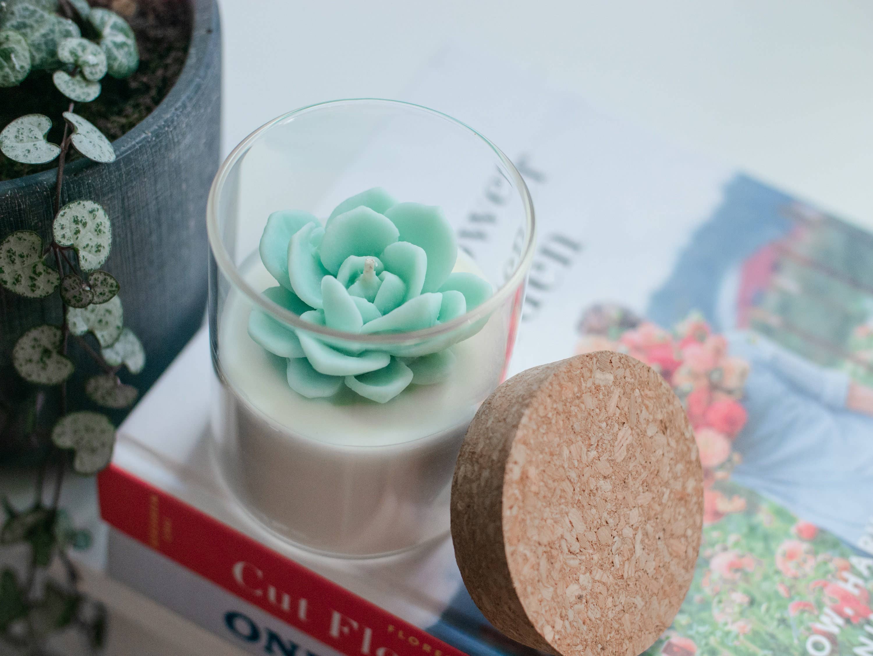 Succulent Soy Candle | Soy Blend: Green / Sunday
