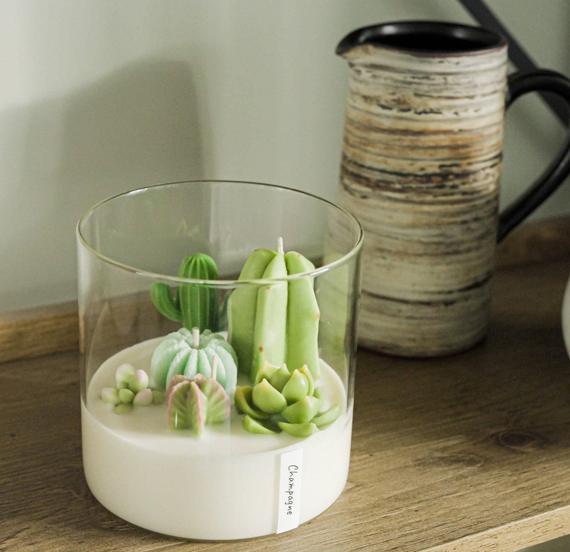 Large 3-wick Terrarium Candle | Soy blend: Mountain Walk