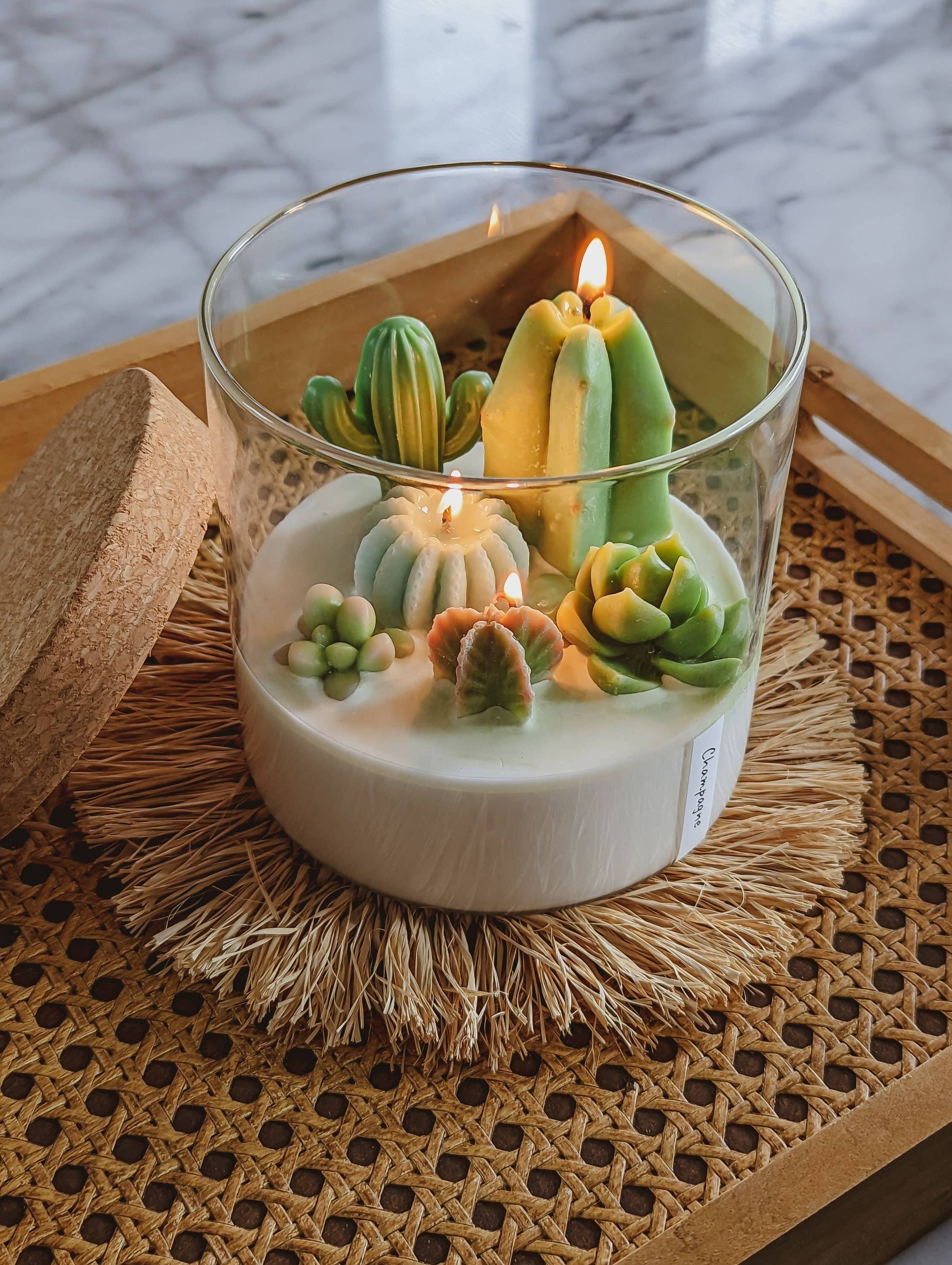 Large 3-wick Terrarium Candle | Soy blend: Mountain Walk