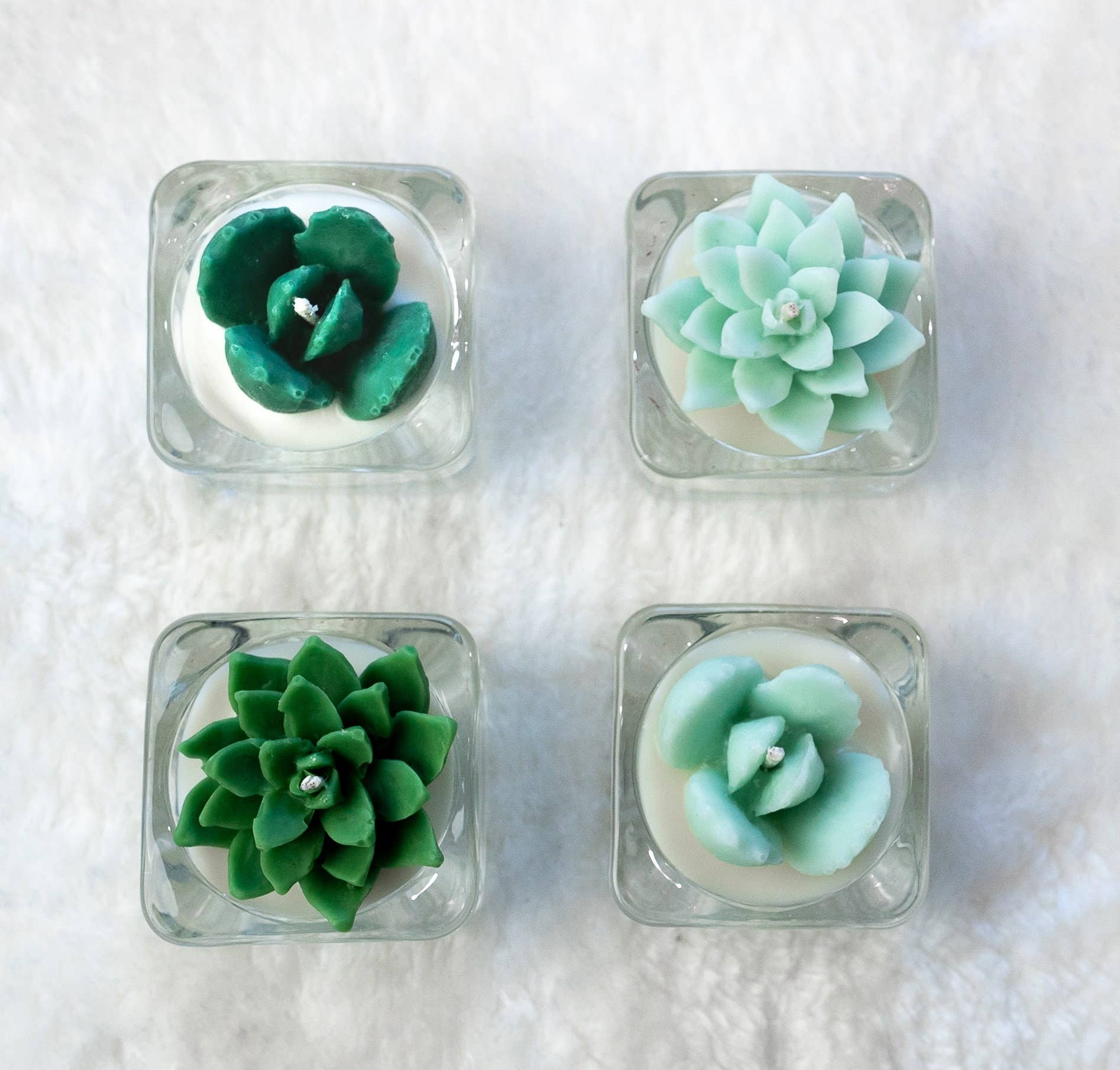 Succulent Tealight Candles | Soy Blend: Hens and Chick Succulent / Pink