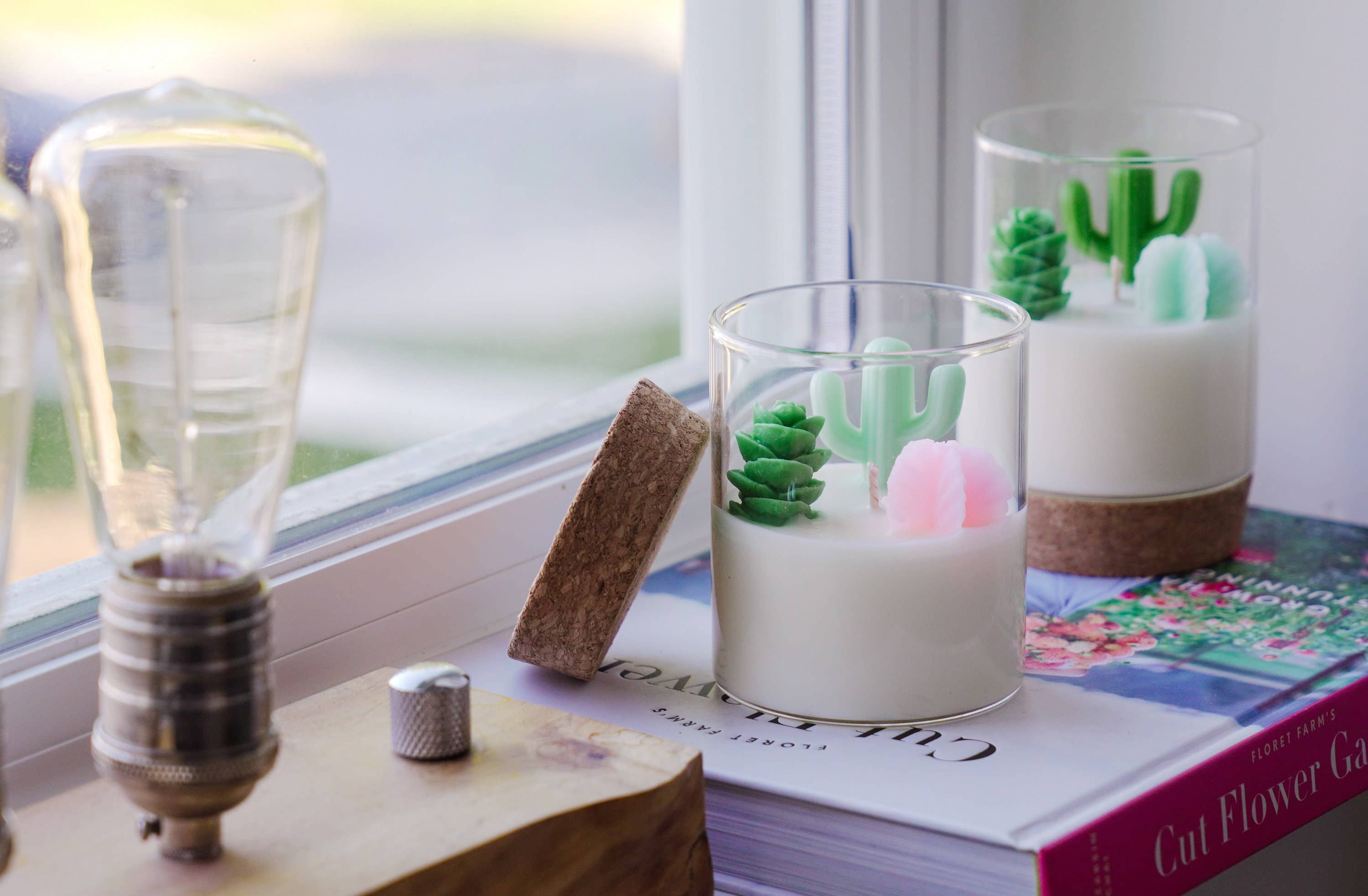 Cactus and Succulent Candle | Soy Blend: Beach Vibe / Pink mint & green