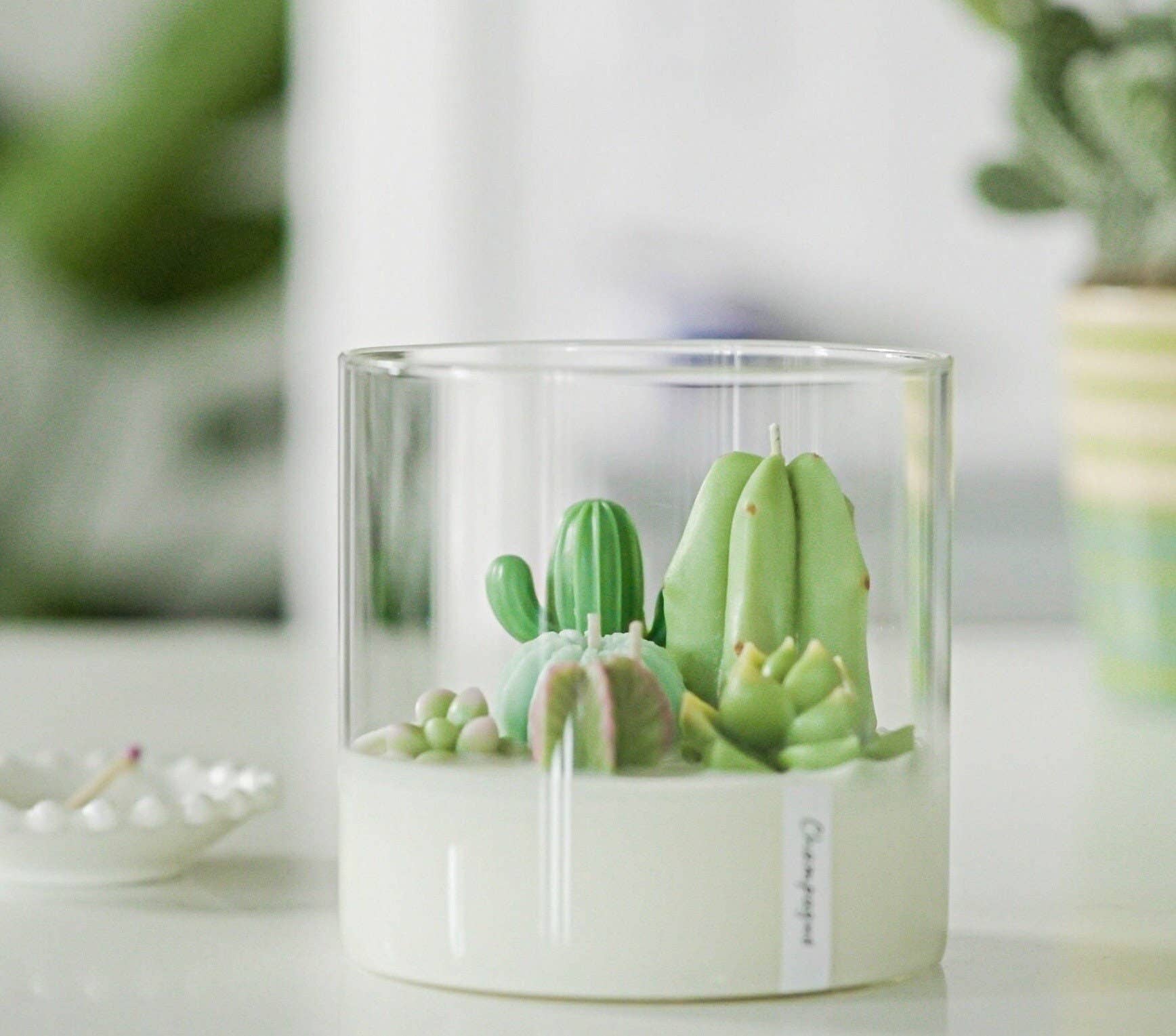 Large 3-wick Terrarium Candle | Soy blend: Mountain Walk