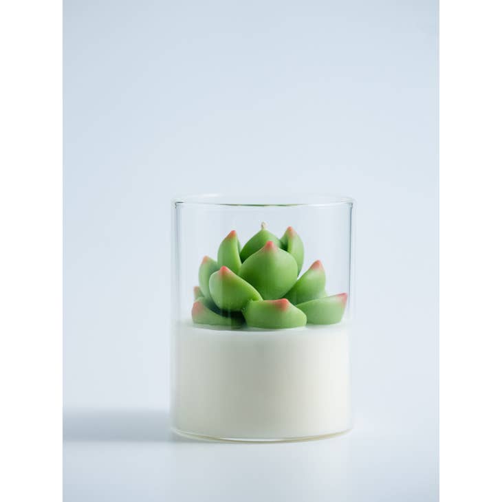 Succulent Soy Candle | Soy Blend