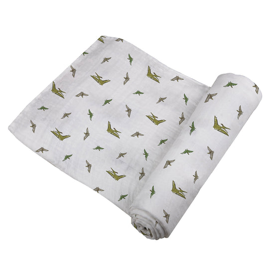 Dinosaur Baby Swaddle