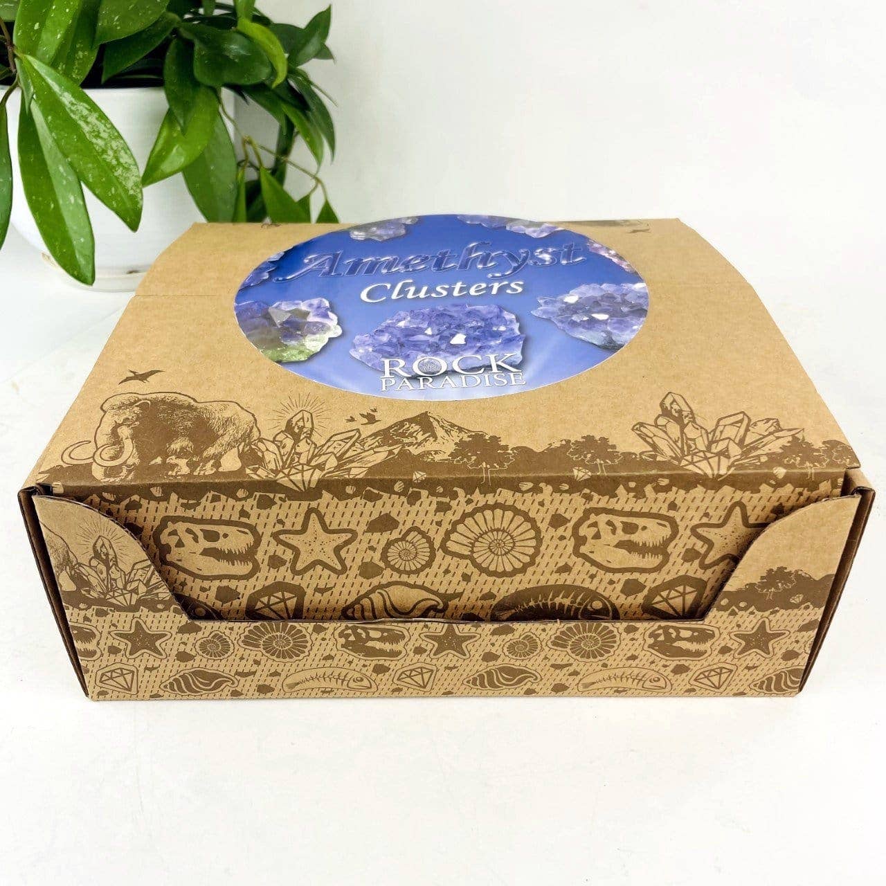 Amethyst Aura Crystal Geodes Box - Spiritual Stone Display