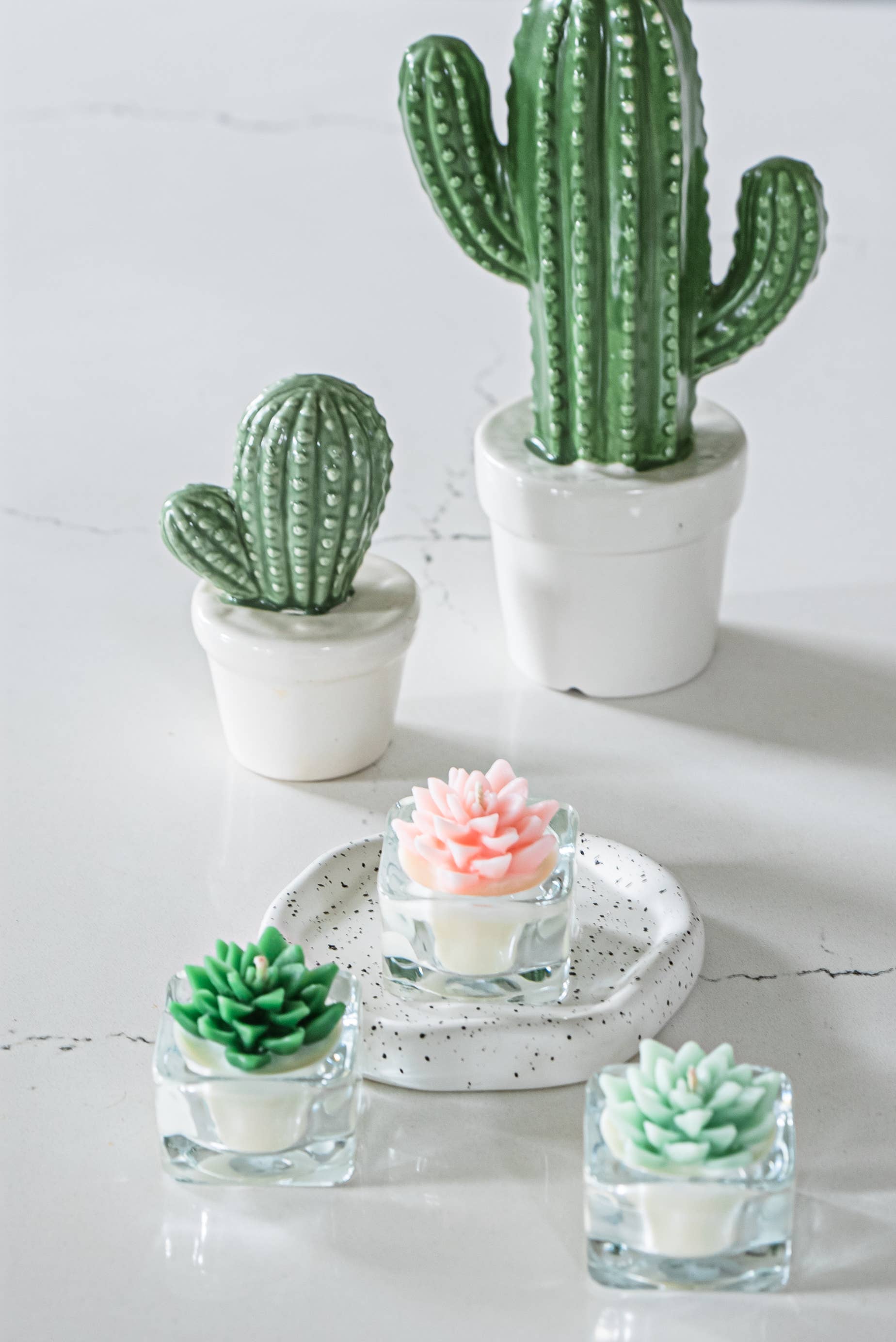 Succulent Tealight Candles | Soy Blend: Hens and Chick Succulent / Mint