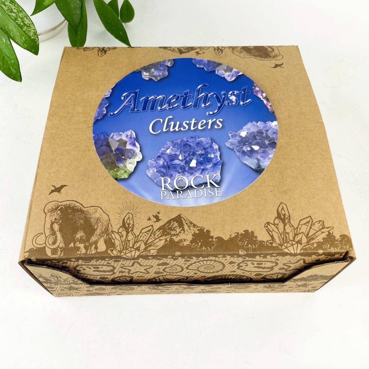 Amethyst Aura Crystal Geodes Box - Spiritual Stone Display