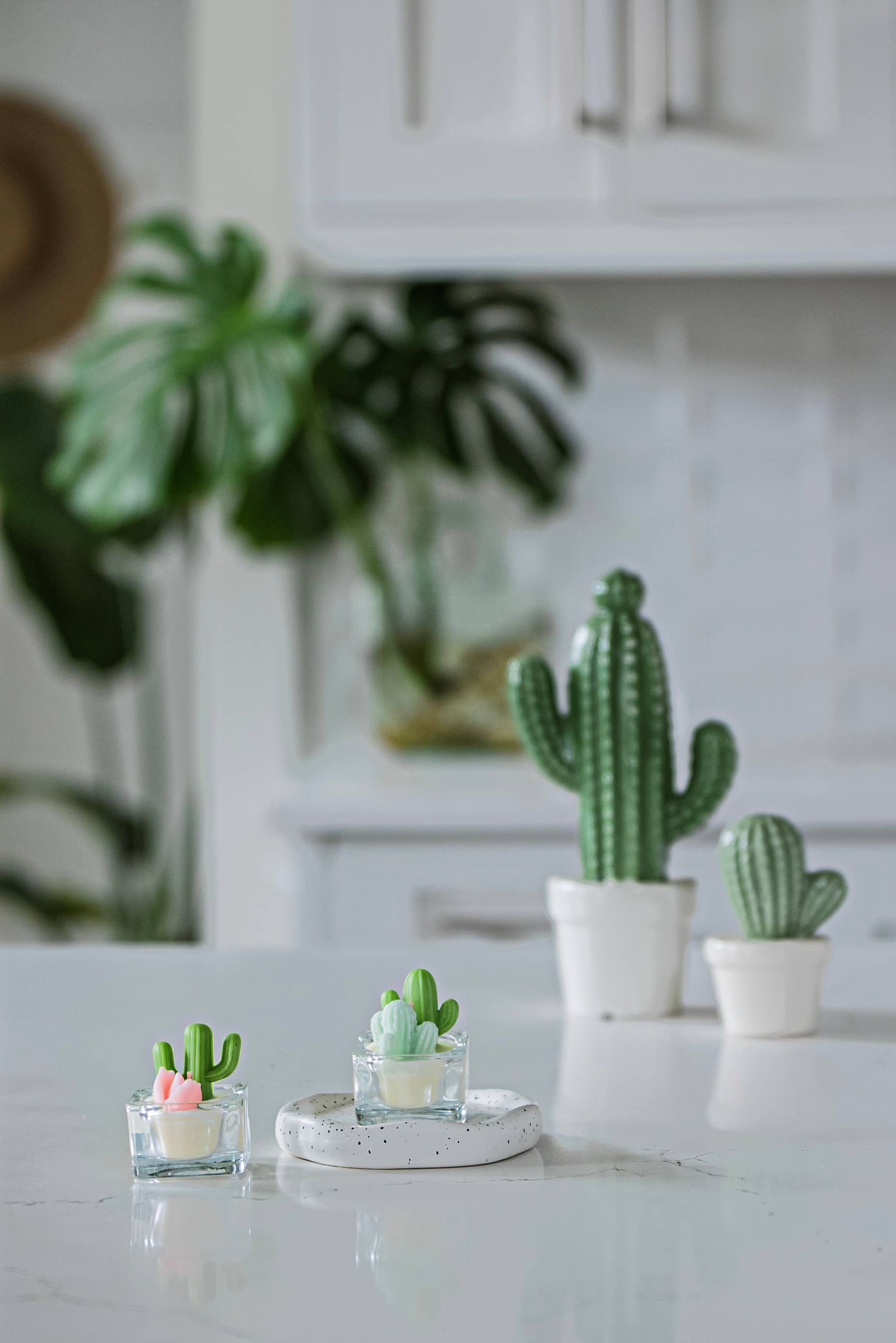 Cactus & Succulent Tealight Candles | Soy Wax Blend: Green & Green Cacti