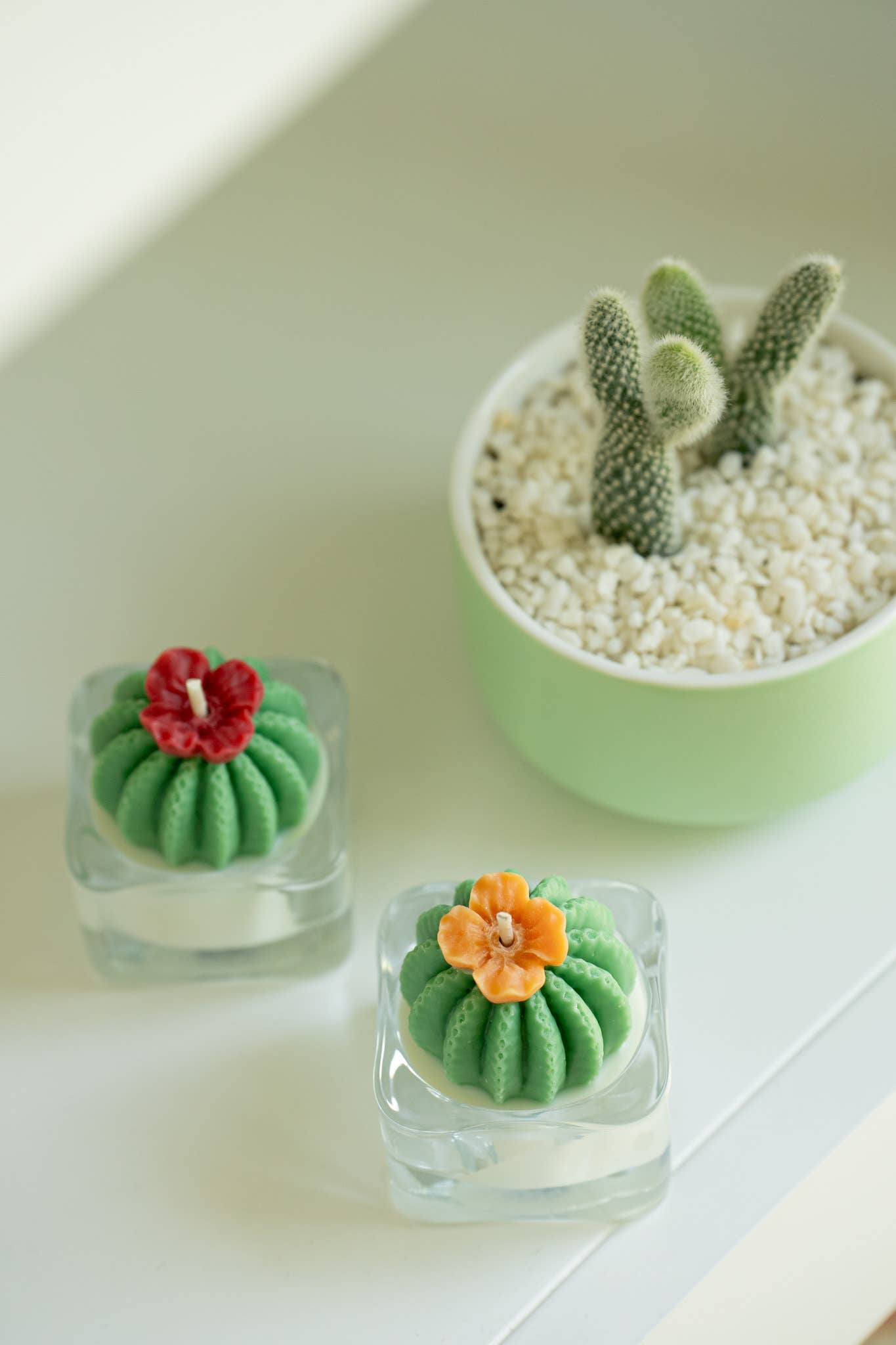 Barrel Cactus Tealight Candles: Green w/ red