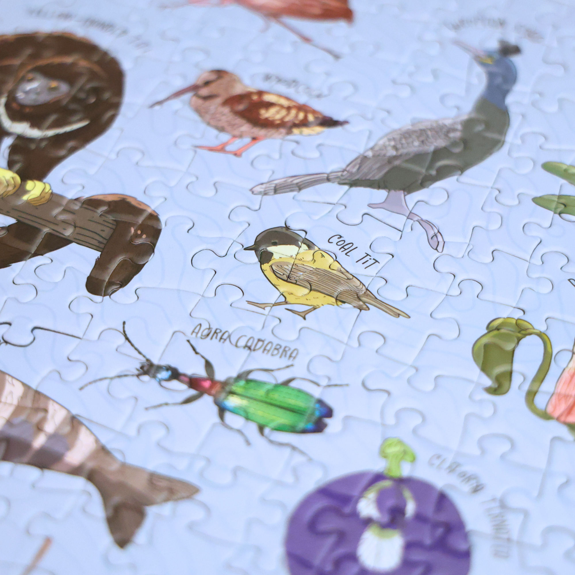 Silly Nature Puzzle – 1,000 Piece Funny Nature Gift