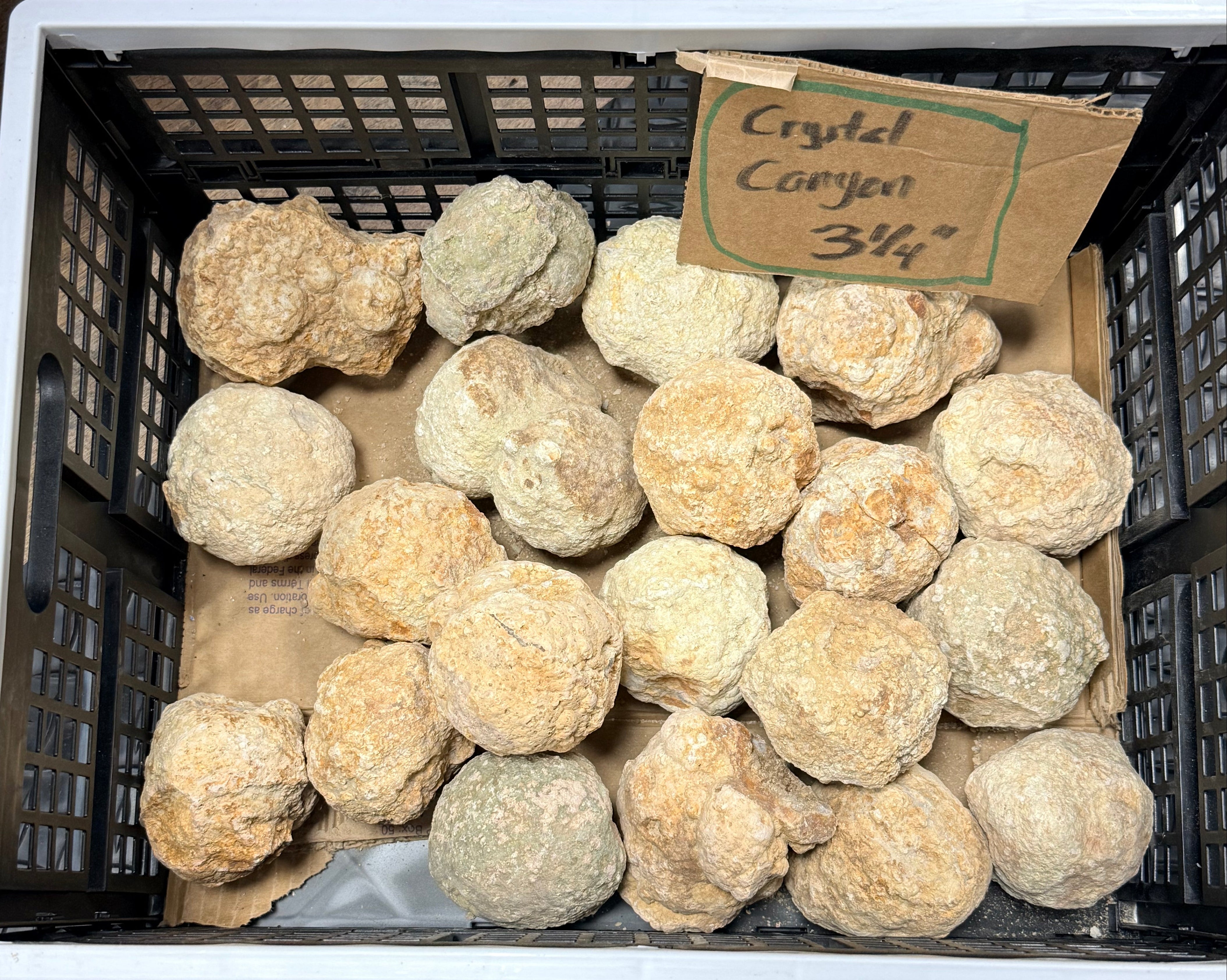 Geode Cracker - Pirate Wheel