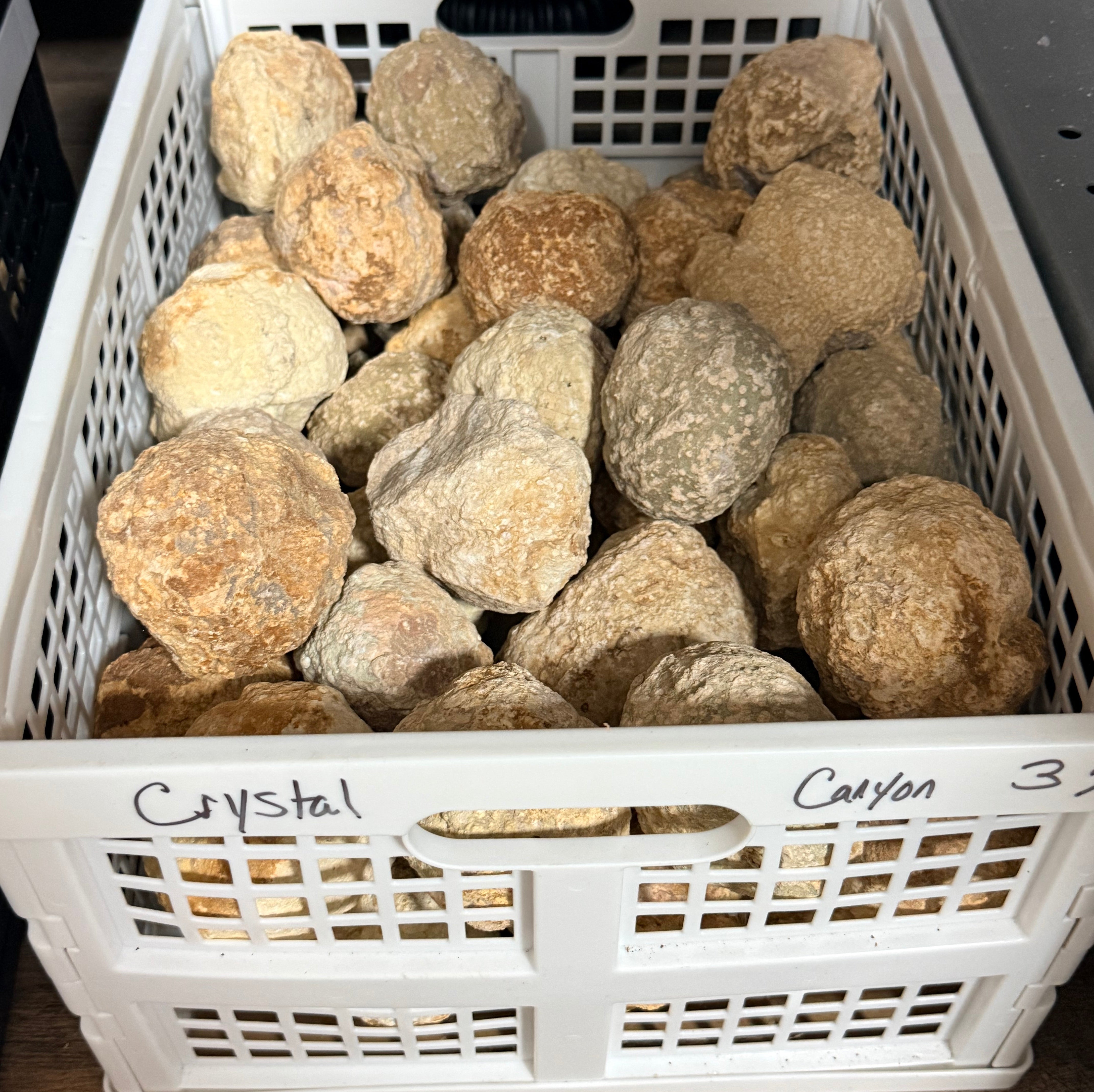Geode Cracker - Pirate Wheel