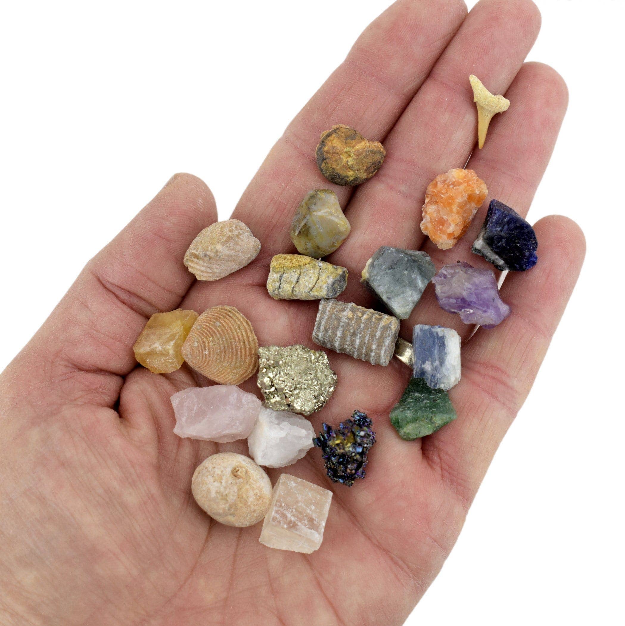 Fossil and Crystal Mineral Mini Natural Stone Set