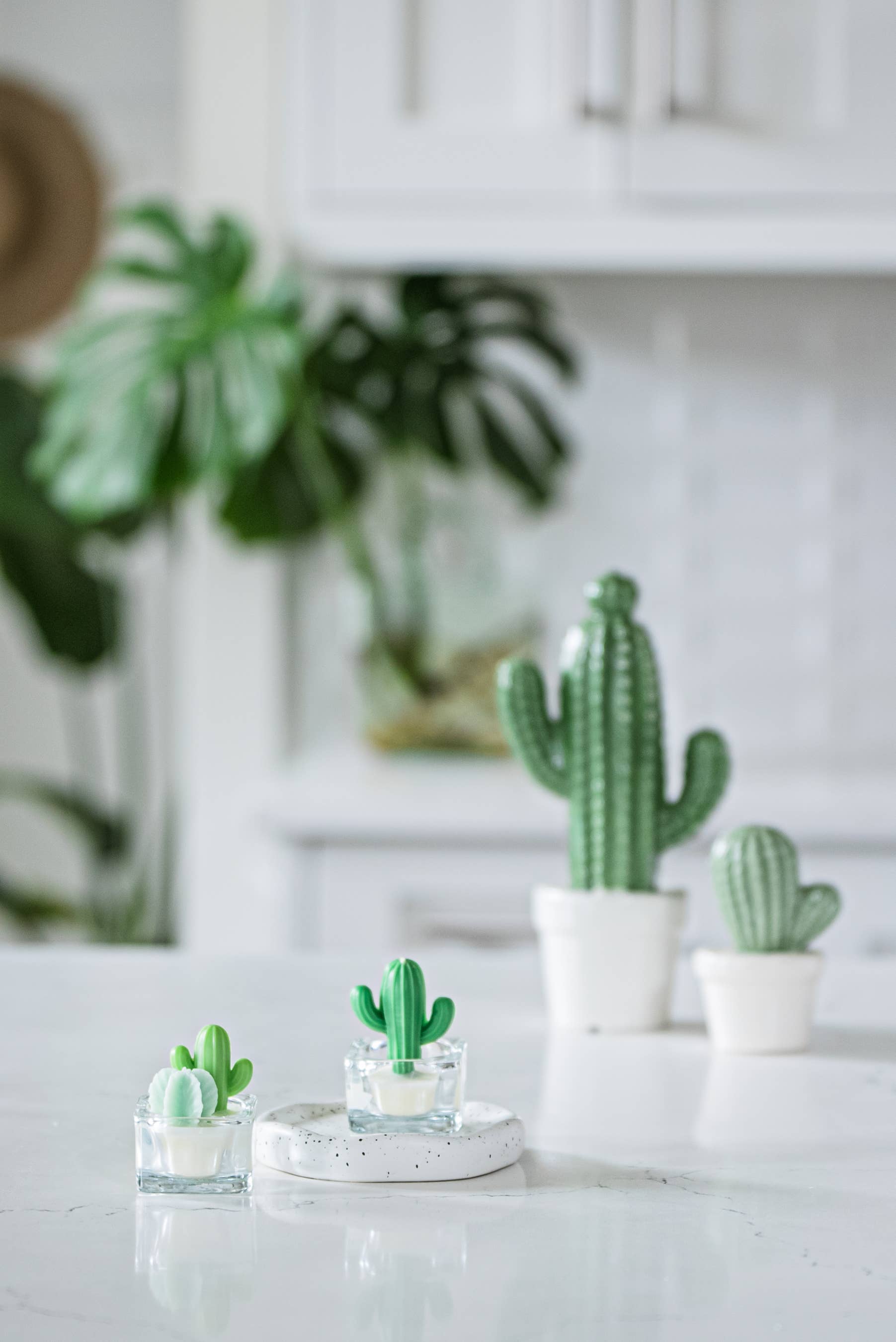Cactus & Succulent Tealight Candles | Soy Wax Blend: Green & Green Cacti