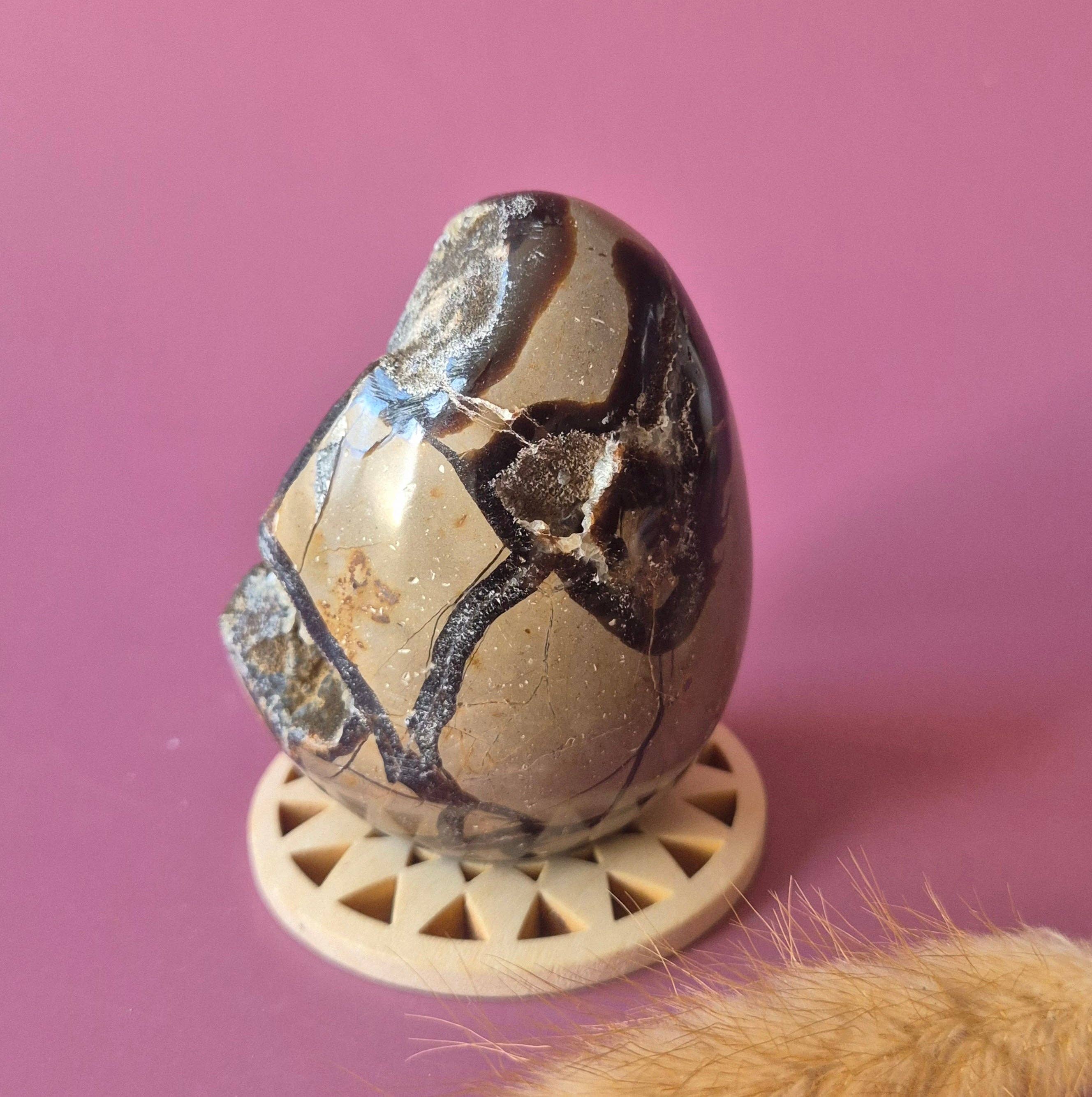 Dragon Stone (Septarian) Gemstone Druzy Egg on Stand - 262g