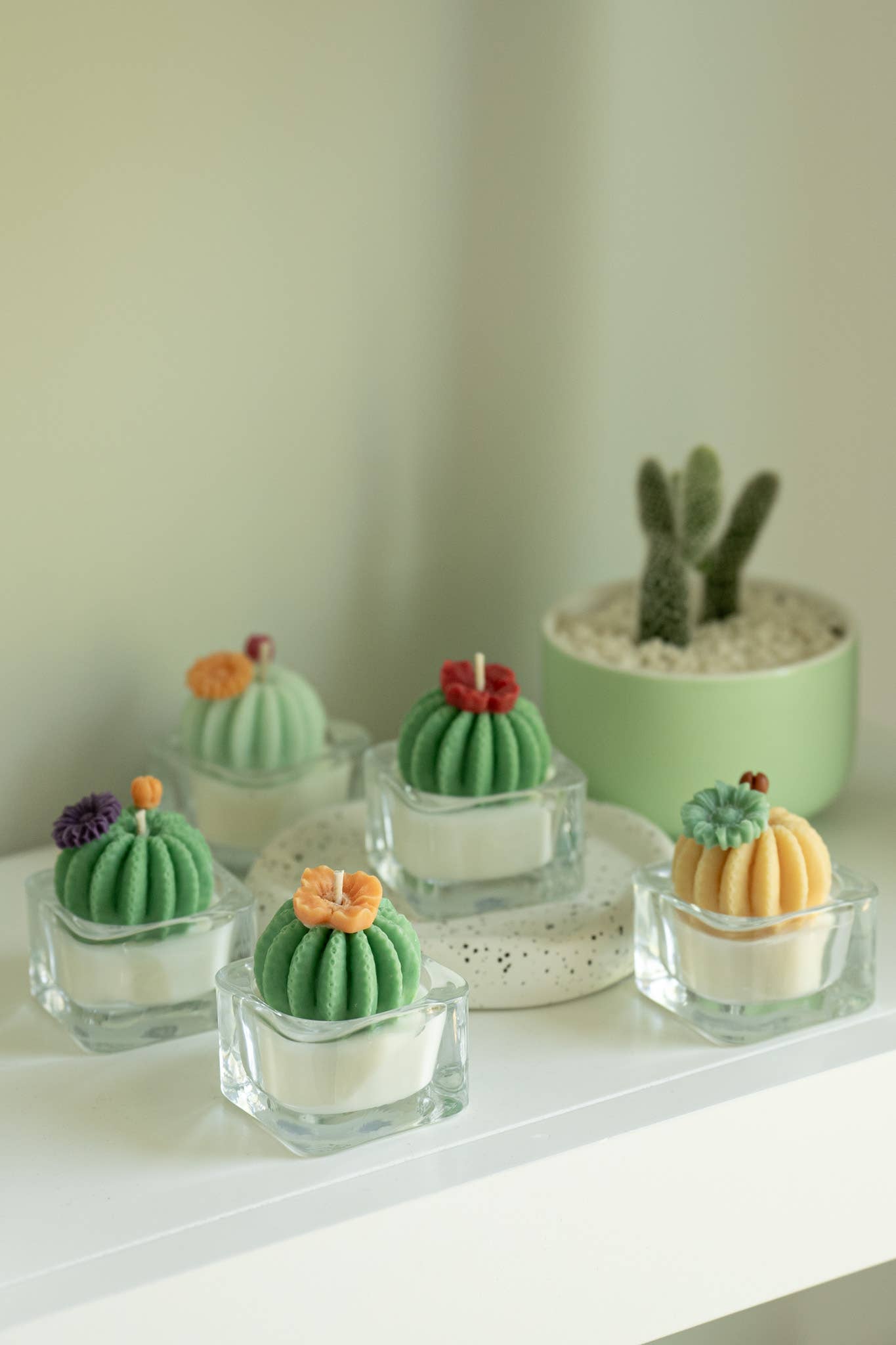 Barrel Cactus Tealight Candles: Mint w/ orange