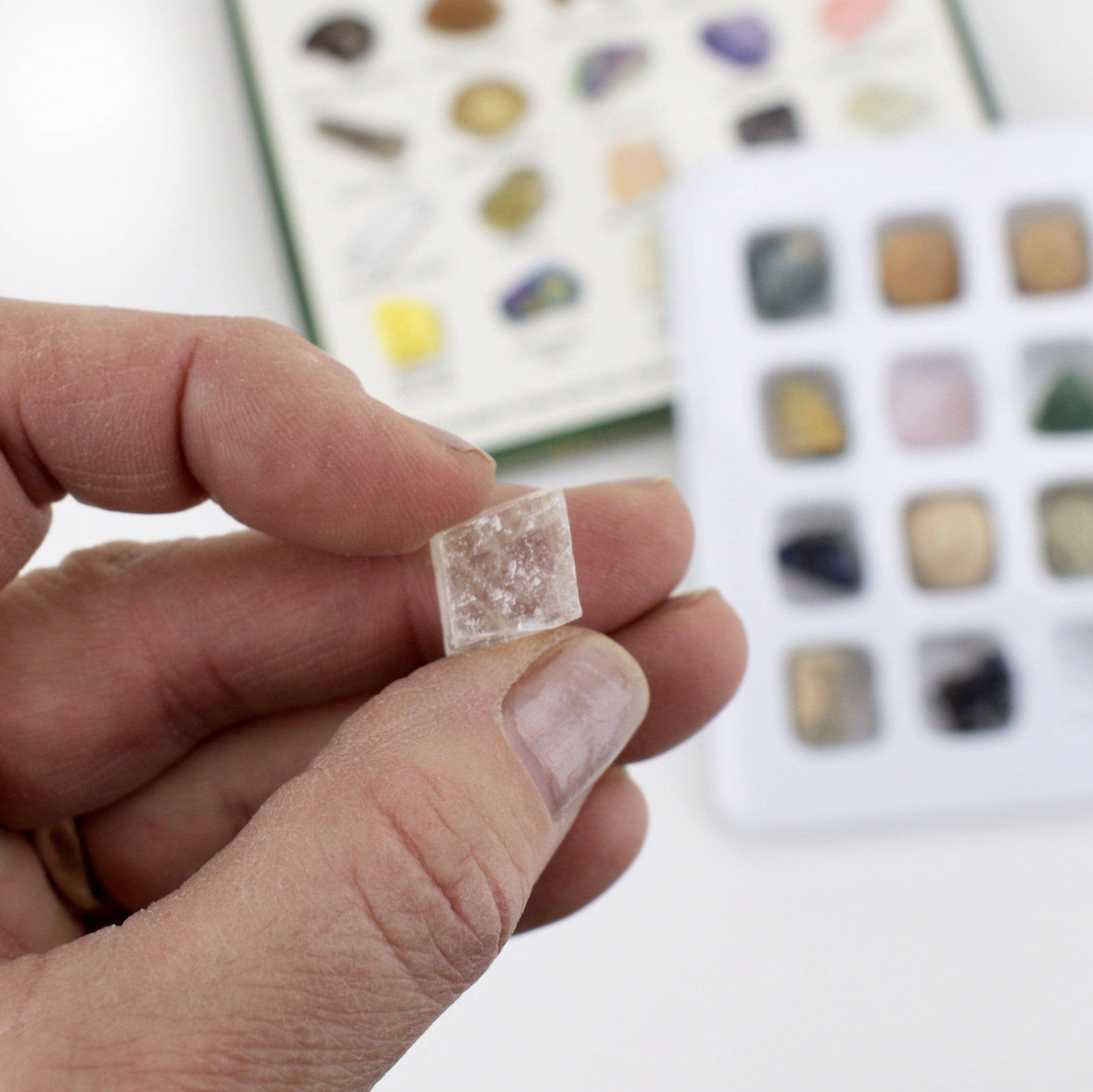 Fossil and Crystal Mineral Mini Natural Stone Set