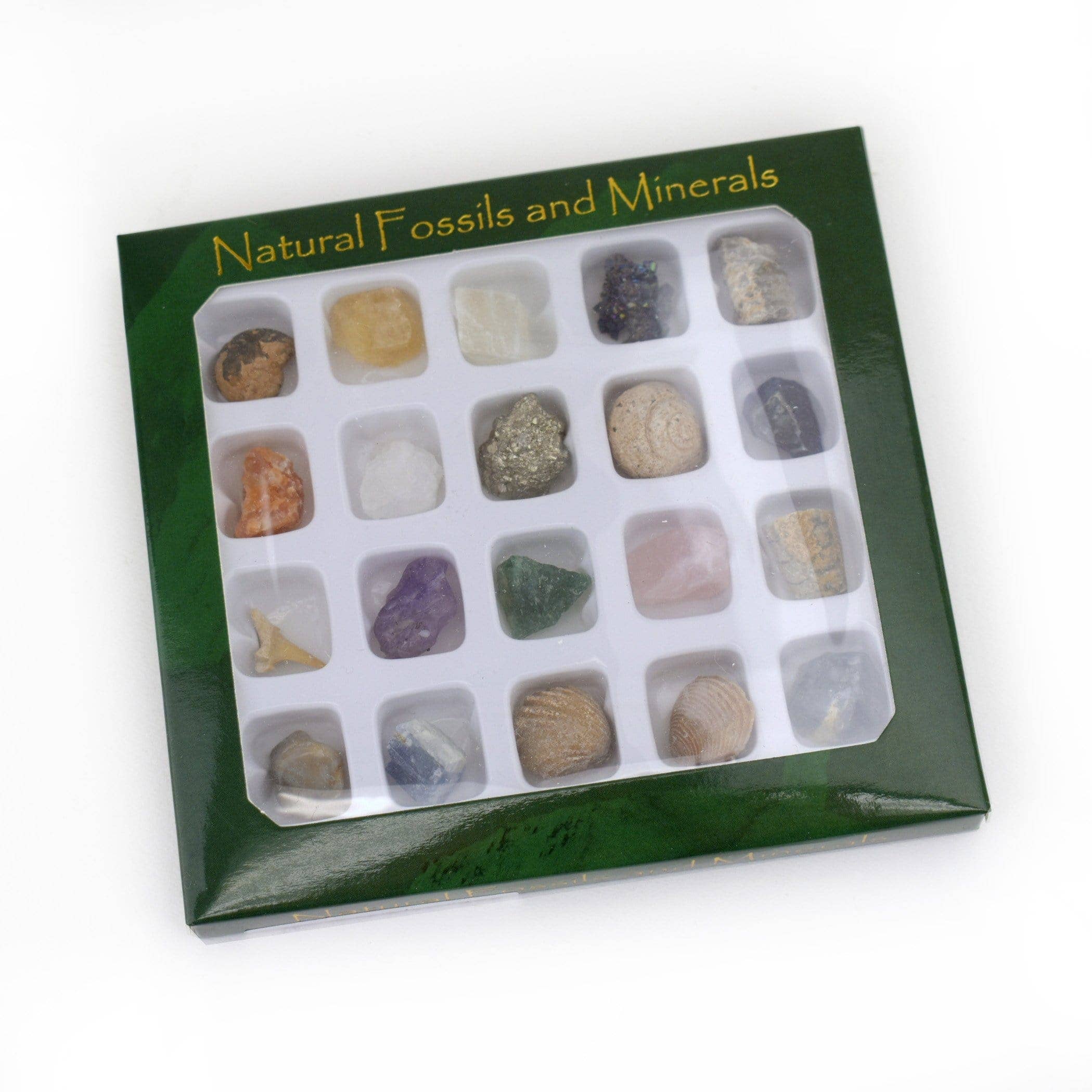 Fossil and Crystal Mineral Mini Natural Stone Set