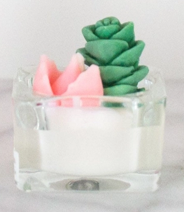 Cactus & Succulent Tealight Candles | Soy Wax Blend: Style D