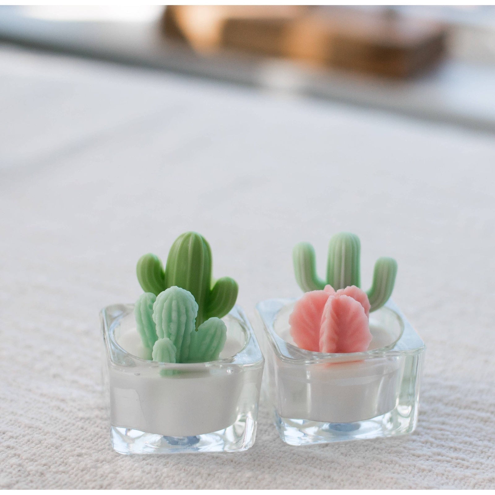 Cactus & Succulent Tealight Candles